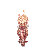 Musa~