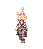 bradoki