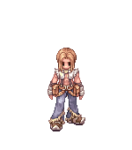 Sheik Safir