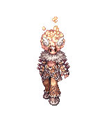 Netra