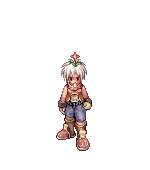 Corninho