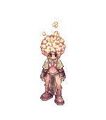 Narcisa
