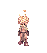 Zypora