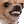 Brabinhos