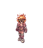 xerequinha n pode peida