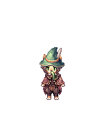 Gato Sarado e Bronzeado